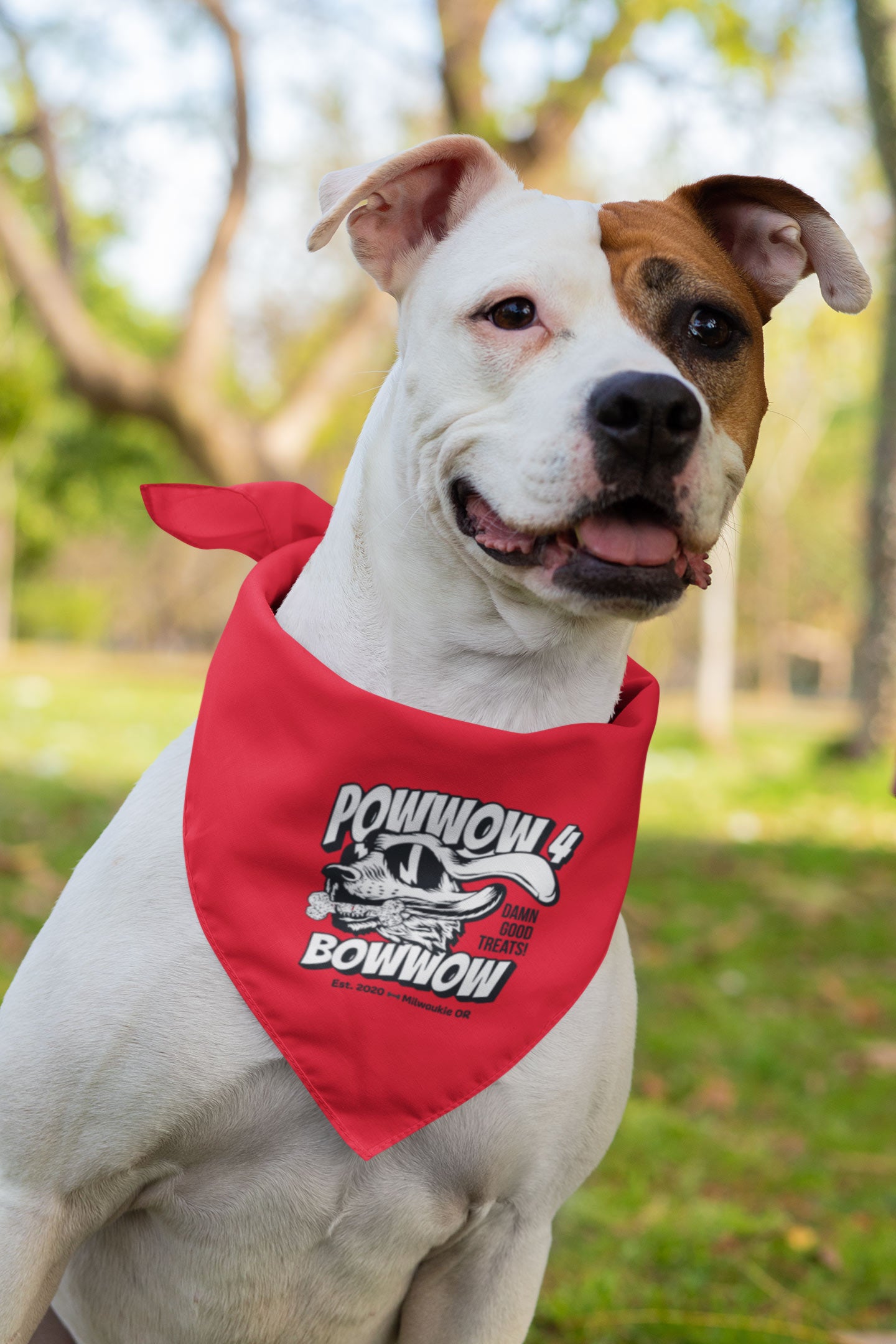 Red Bandana Dog T-Shirt